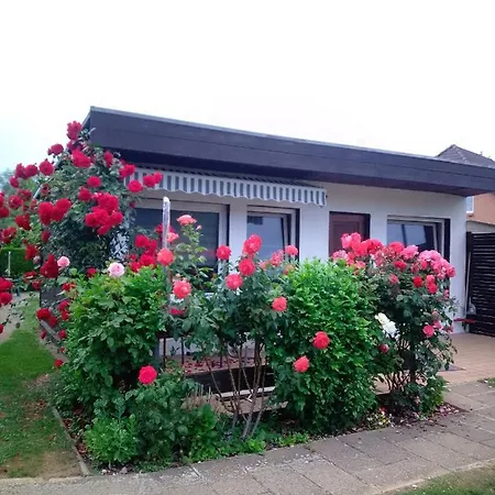 Appartement Isla 1 *